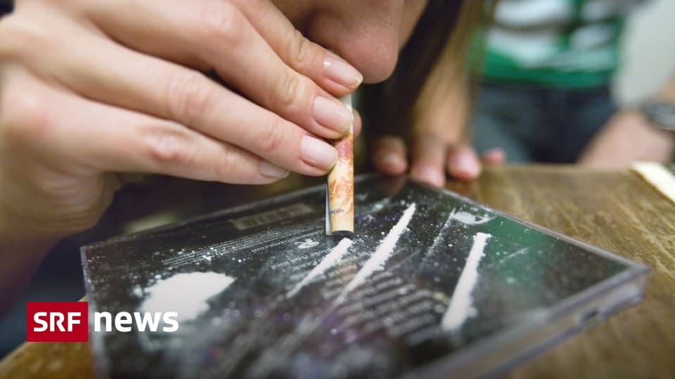 Kokainschmuggel aus Südamerika - «In Europa lassen sich viel höhere Gewinne mit Kokain machen»