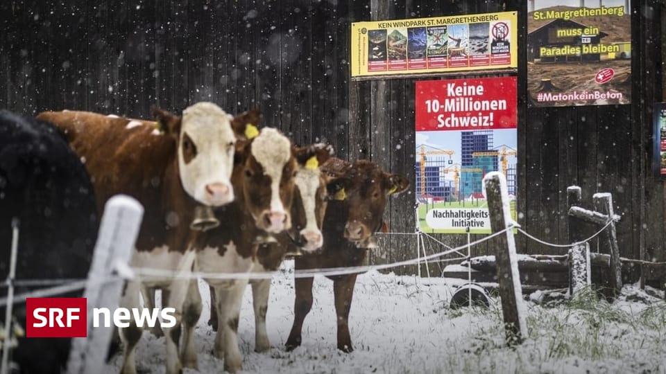 Switzerland’s 10 Million Population Cap Initiative Sparks International Debate
