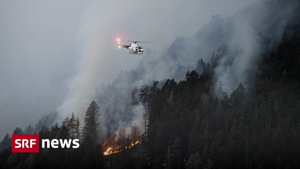 Forest fire risk – Help for forest fires: Switzerland alone in Europe – News
