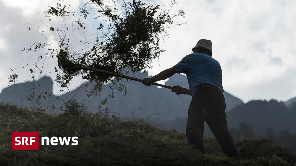 Erfolgsgeheimnis der Bauern - Mit sieben Bauernregeln an die Macht