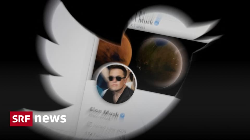 Elon Musk buys Twitter – What does Musk’s acquisition of Twitter mean for US politics?  – News