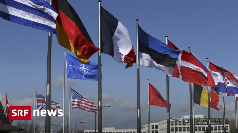 Gehört Die Schweiz Zur Nato Nato-Gipfel in Brüssel - Die Schweiz ist nicht eingeladen – bleibt aber