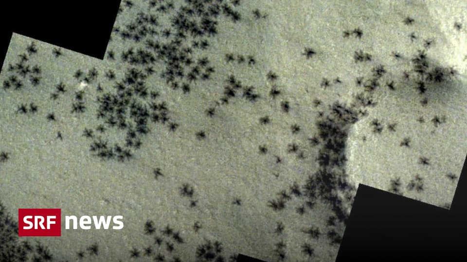 “Spiders on Mars” – Here's What's Behind It – News