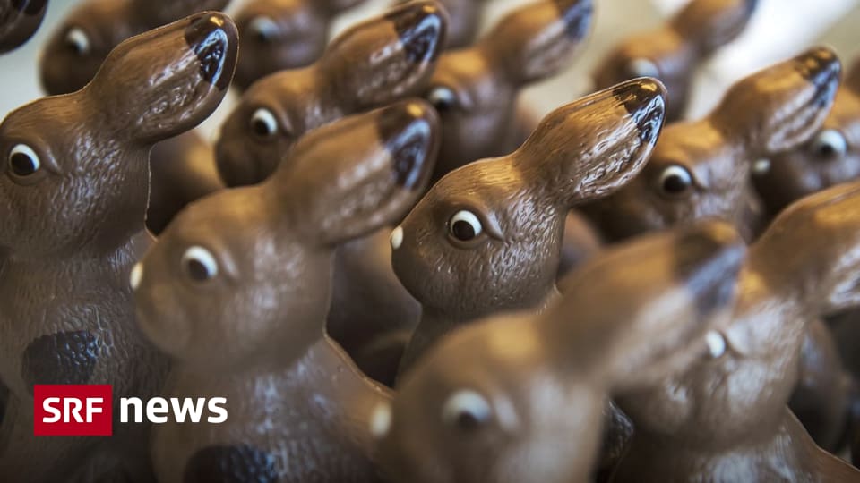 Record cocoa prices: That’s why chocolate Easter bunnies are so expensive – News