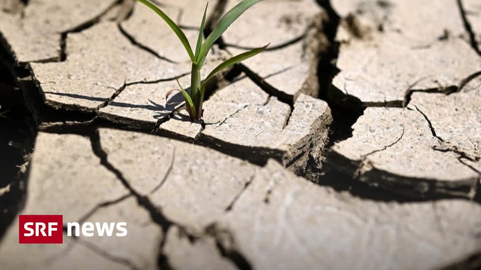 Klimawandel - «Der Klimawandel ist im Mainstream angekommen» - News - SRF