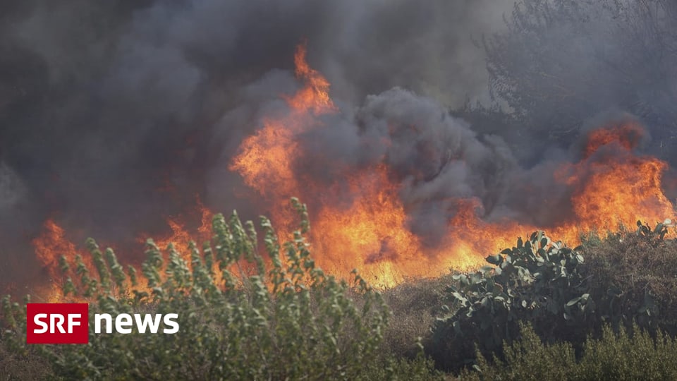 Drought in Italy – Forest fires in Sicily claim lives – News