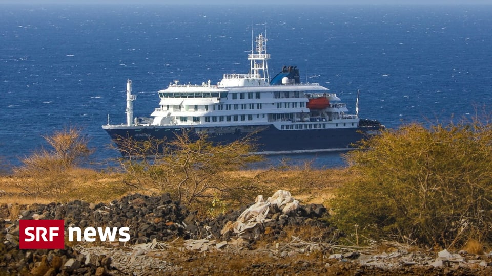 Drei Tote auf Expeditionsschiff «MV Hondius»: Hantavirus-Ausbruch im Atlantik