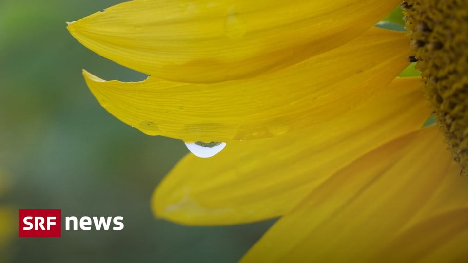 Gia lover leak gallery i quickly followed the guidance