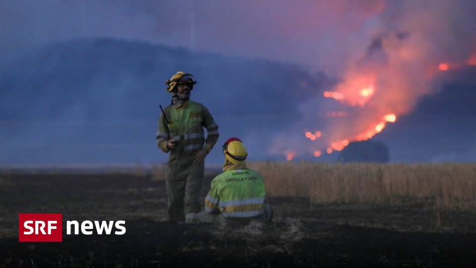 Heat wave in Europe – Fires in southern Europe: Spain records worst forest fire year – News