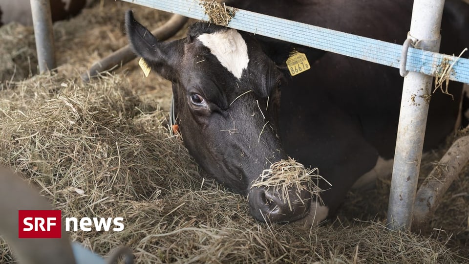 Weniger CO₂ auf dem Bauernhof - Klimaneutrale Landwirtschaft: Dänemark