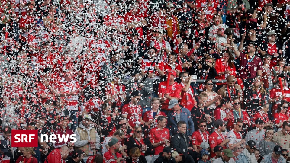 Wertsch-pfung-von-665-Mio-Schweizer-Fussball-Clubs-generieren-Milliardenumsatz