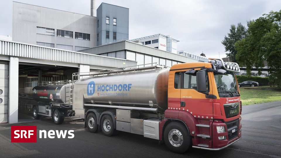 Milk processor Hochdorf earlier than decisive common assembly – News
