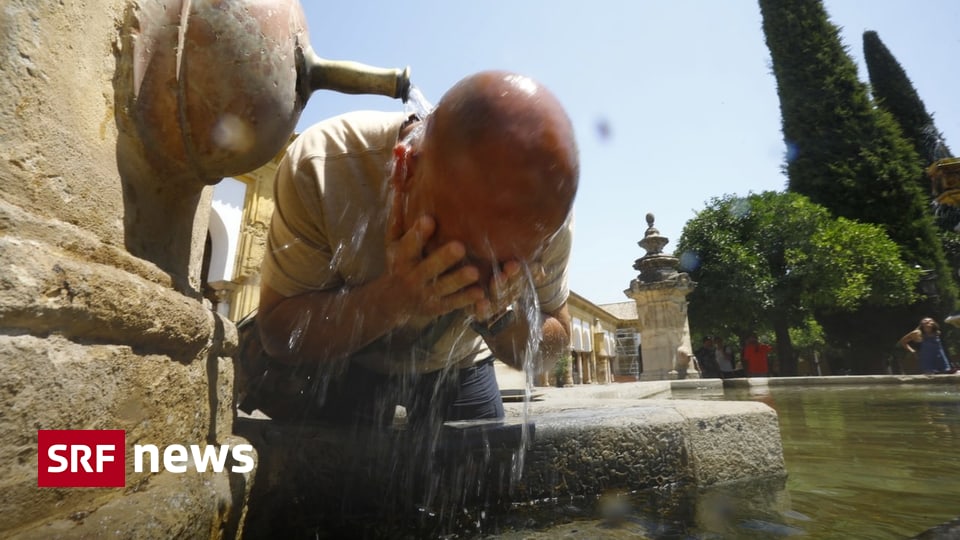 Over 40 degrees – 360 heat deaths in one week in Spain – News