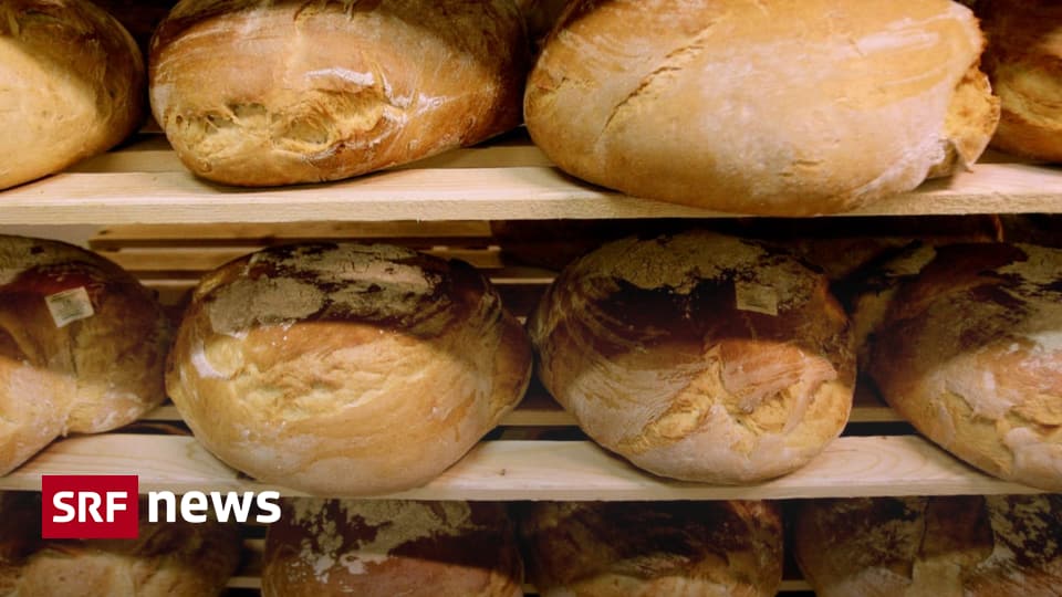 Mesure du poids des produits de boulangerie – contrôles : environ dix pour cent des pains sont trop légers – actualités