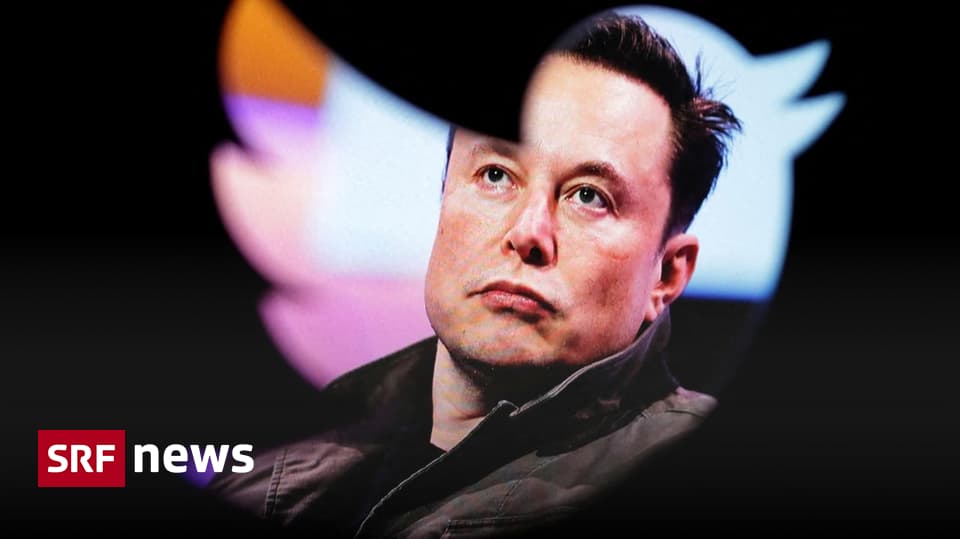 Service de microblogging Twitter – Musk démissionne et devient le patron de Twitter, expert en publicité – Actualités