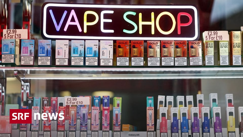 elfbar elfa master akku A Travel Guide to Vaping Laws in Airports and on Planes main image 0