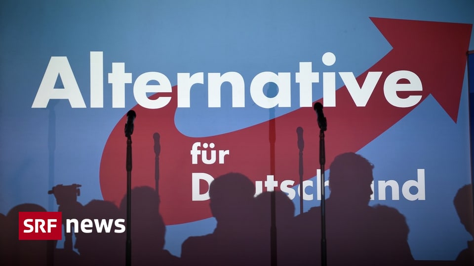 Blick ins AfDParteiprogramm Germany first News SRF
