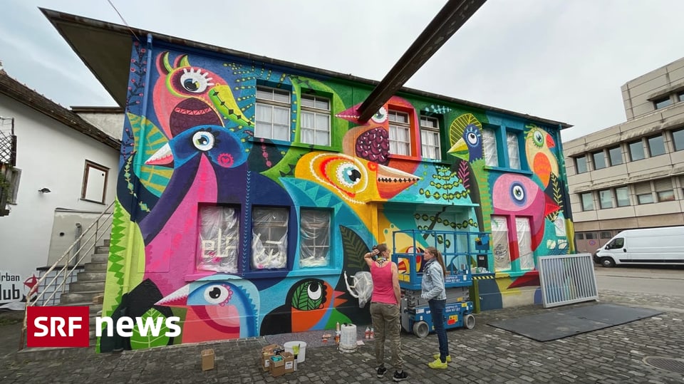 Frauenfeld-wird-zur-gr-ssten-Street-Art-Galerie-der-Schweiz
