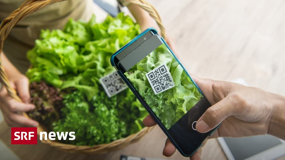 Digitales Geld Bezahlsystem GNU Taler «Eine Überweisung kostet 0.001