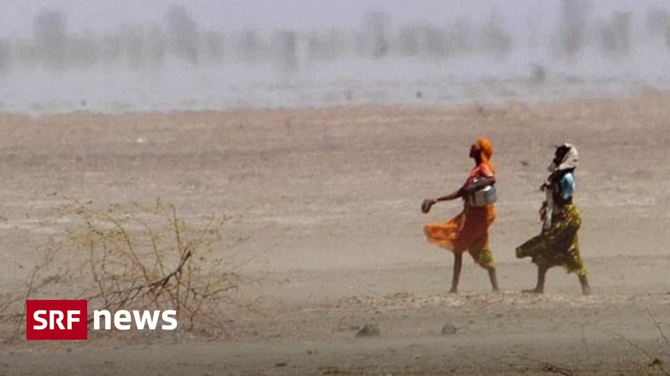 Alarming study – Climate change brings inhumane temperatures to every third person – News