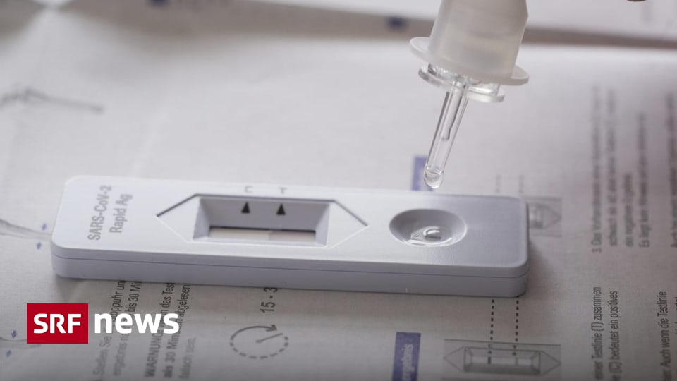 Wastewater data and covid tests – The coronavirus is back in circulation – News