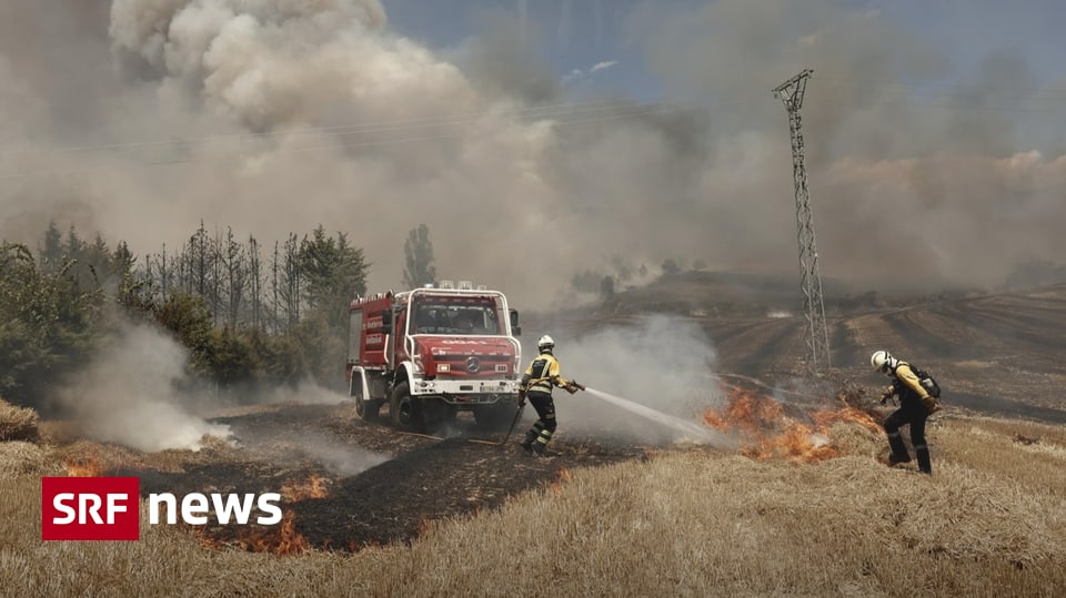 Heat and drought – wildfires in southern Europe are raging wildly News