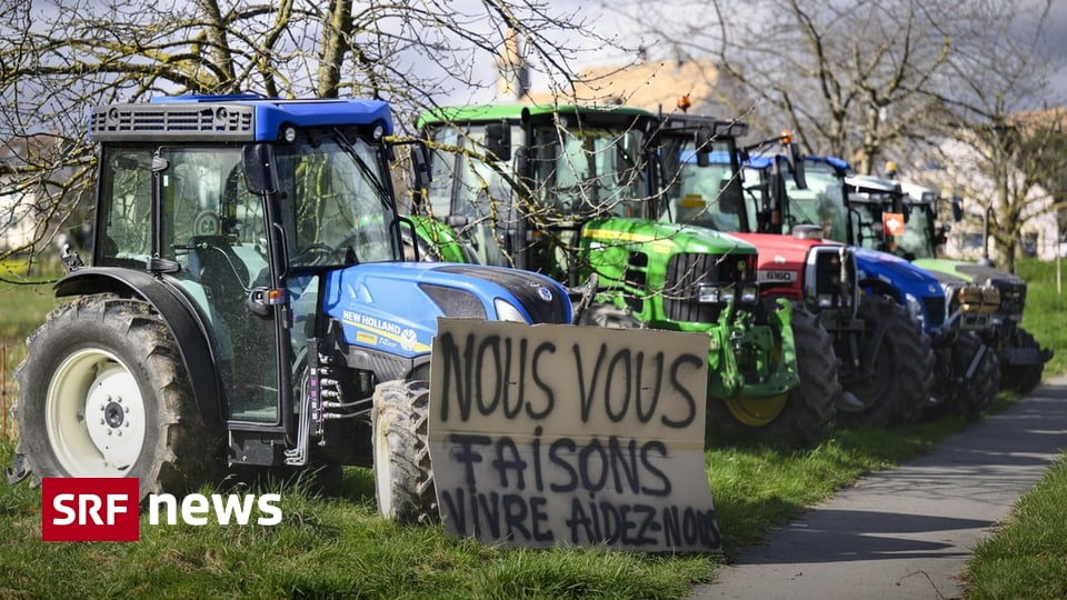 Bauernproteste in der Schweiz - Darin unterscheiden sich die Proteste in der Schweiz und der EU