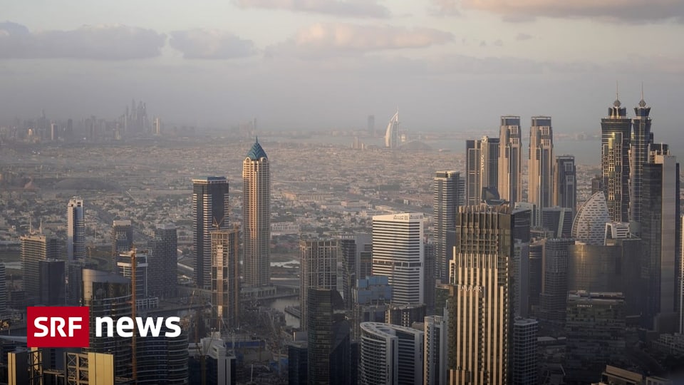 United Arab Emirates: Oil princes take over Africa – News