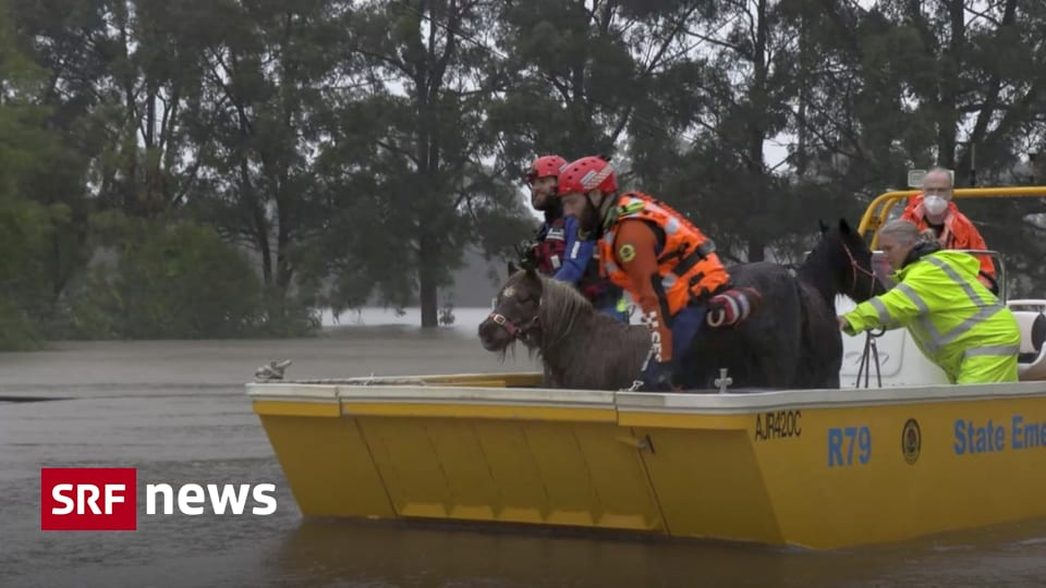 Evacuation advisory – Flooding around Sydney after heavy rain – News