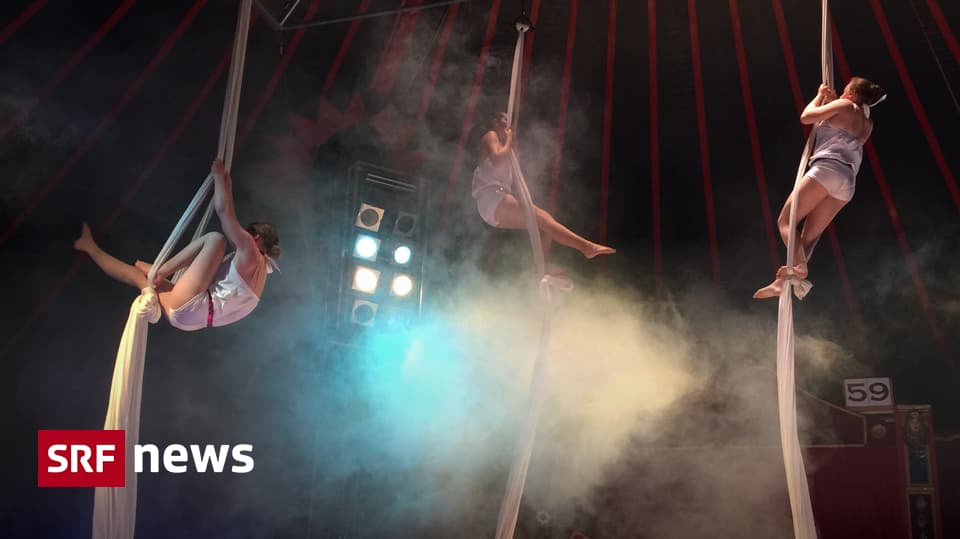 Jugend Circus Basilisk Mit dem Zirkus für das Leben lernen News SRF