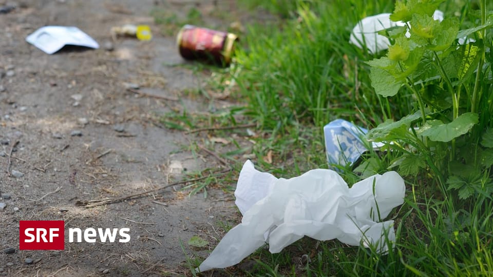 Draussen In Der Freien Natur Geht Es Versaut Zur Sache Draussen In Der Freien Natur Geht Es Versaut Zur Sache