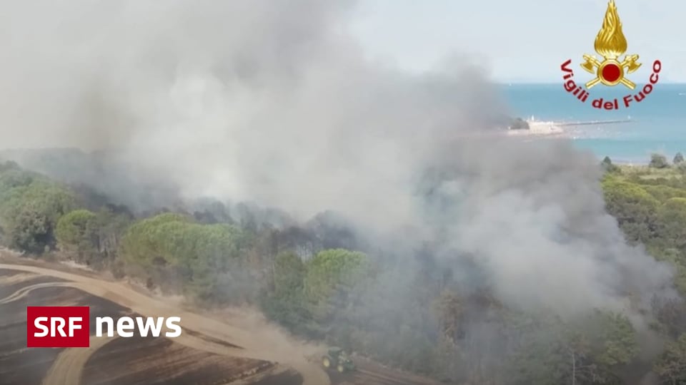 Forest fire in Italy – Tourists flee Bibione beach – News