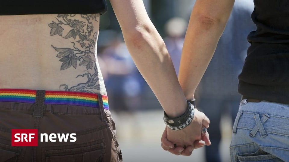 Streit Um Queere Ampel Paare Ratsherr Klagt Gegen Homosexuelle Motive Vor Gericht - p30k7mw