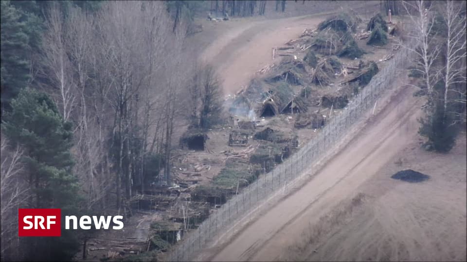 Displacement in Belarus – Settlement camps on the Belarusian-Polish border destroyed – News