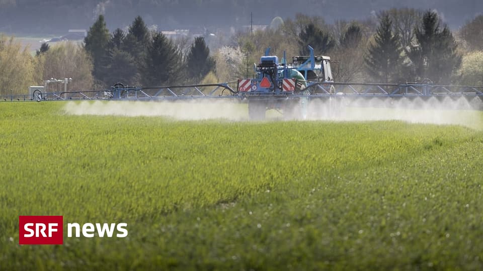 Pestizide und Landwirtschaft - Übers Portemonnaie lässt sich der