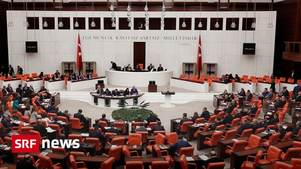 Neue türkische Verfassung «Das der Regierung wird