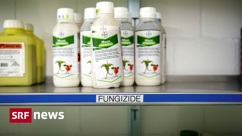 Chlorothalonil verboten – Krebserregendes Pflanzenschutzmittel verliert seine Zulassung