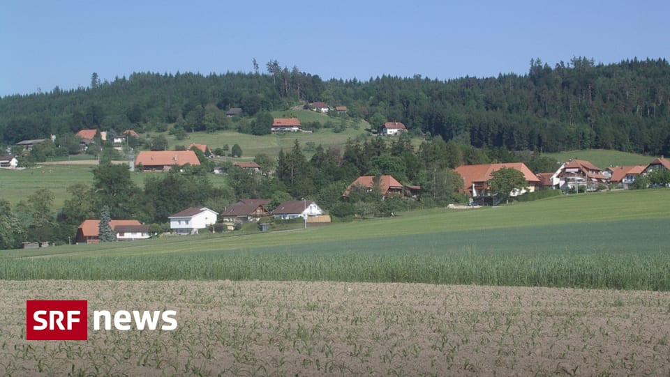 Bern Freiburg Wallis Rasen wässern verboten in Seedorf News SRF