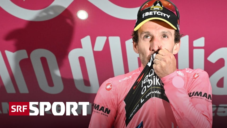 Yates-und-die-rosa-Rache-am-monstr-sen-Finestre
