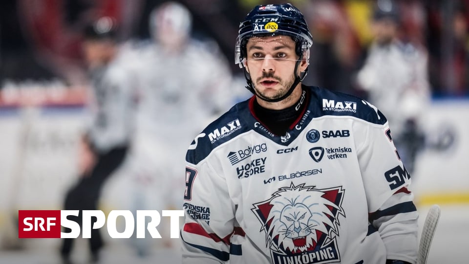 News-aus-der-National-League-Freiburg-holt-einen-9-Ausl-nder