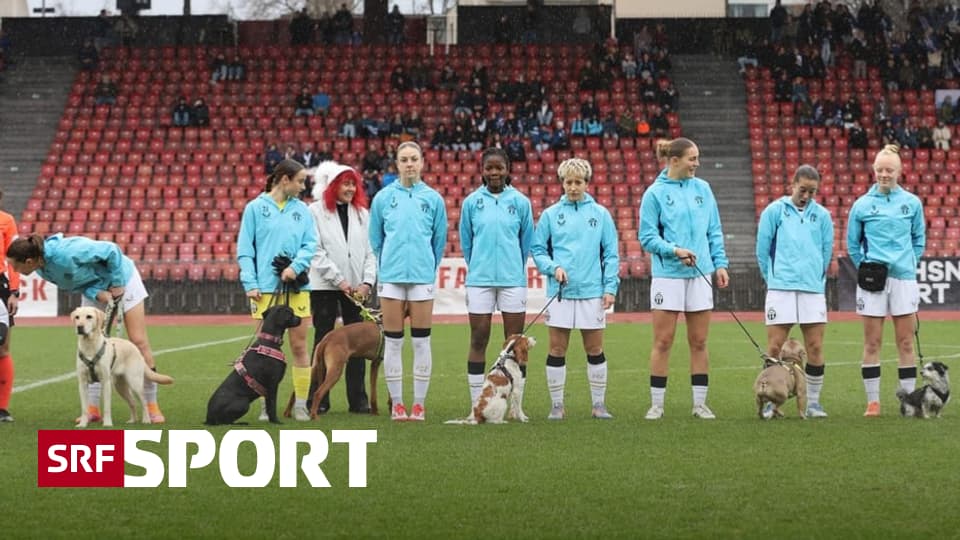 Fussball-Gallery-vom-Weekend-Seltene-G-ste-ein-passendes-Kost-m-und-ein-lauter-Trainer