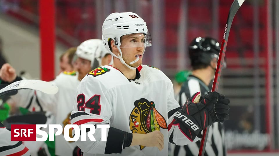 Jan 16, 2020 · others receiving points: Pius Suter Nhl . Cambio suizo en la NHL - Detroit agarra a Suter - Bärtschi ...