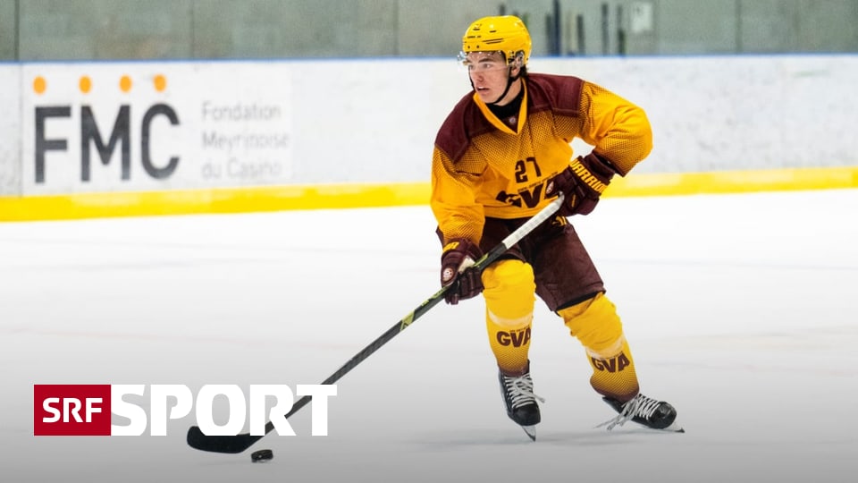 News-aus-dem-Eishockey-Der-EVZ-verpflichtet-Verteidiger-Schneller