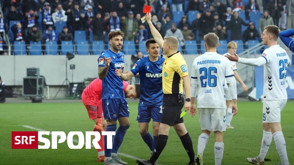 Bilder-Galerie-Zettelflop-Rot-Flut-und-ein-Panda