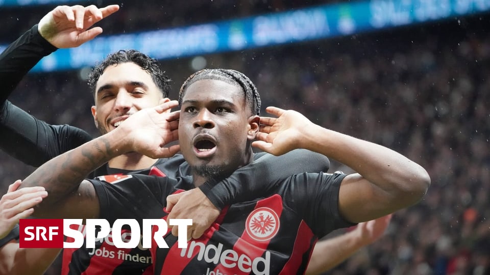 14th round in the Bundesliga – Frankfurt outclasses Bayern – BVB loses to Leipzig