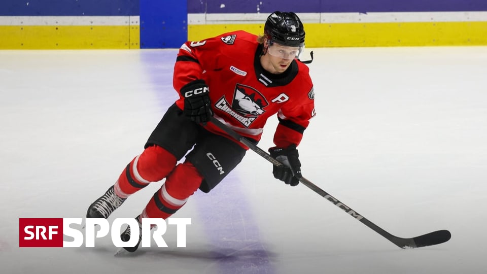HCD-verst-rkt-sich-mit-schwedischem-Angreifer
