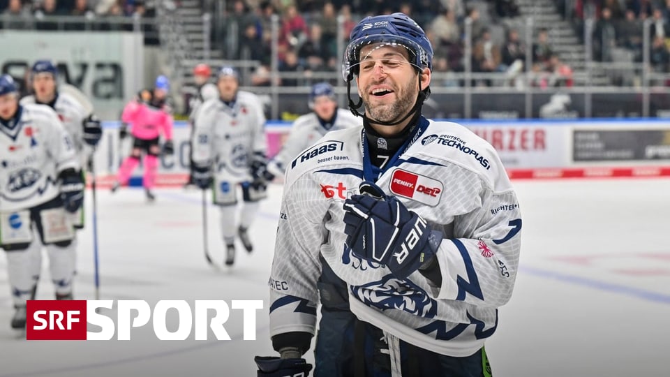 Straubing-Tigers-wollen-mehr-als-nur-L-ckenf-ller-sein