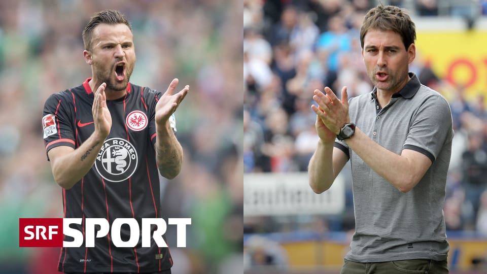 Schweizer Fussball Ligen Schweizer Fussball Ligen