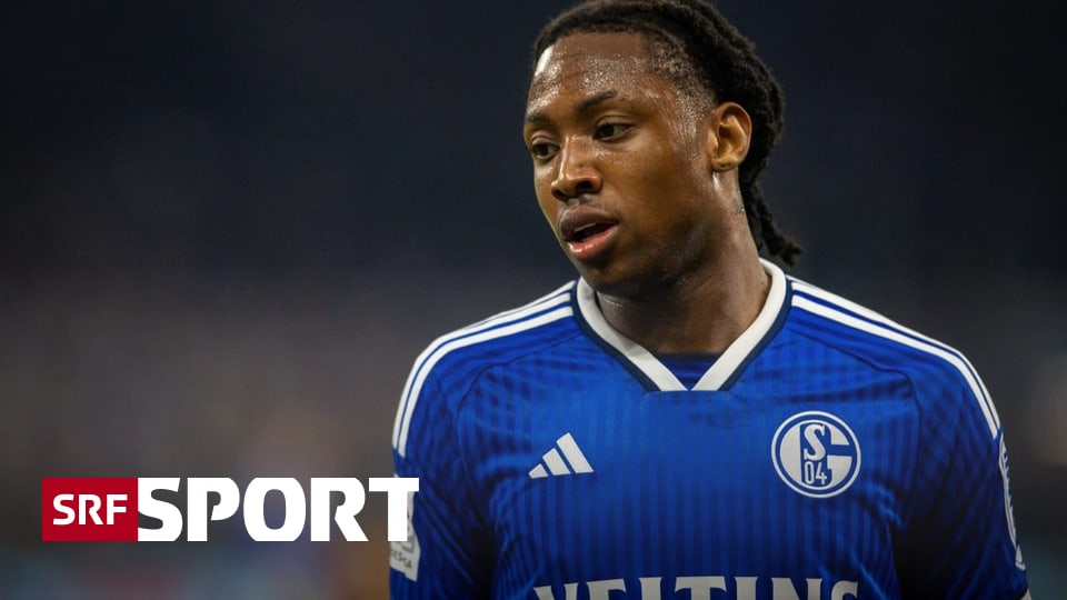 FC Zürich verstärkt Angriff: Guadeloupe-International Matthias Phaëton wechselt leihweise!