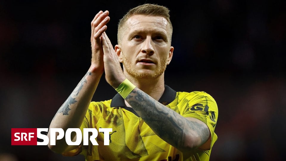 International Football News – Reus and PVP go their separate ways – Sports